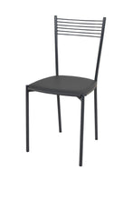 Lade das Bild in den Galerie-Viewer, Stuhl Elegance mit robustem Gestell aus lackiertem Stahl, Farbe Dunkelgrau

